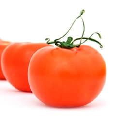 Tomate (Kg)
